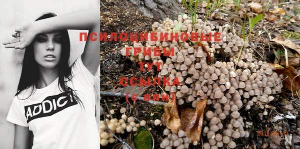 каннабис Баксан