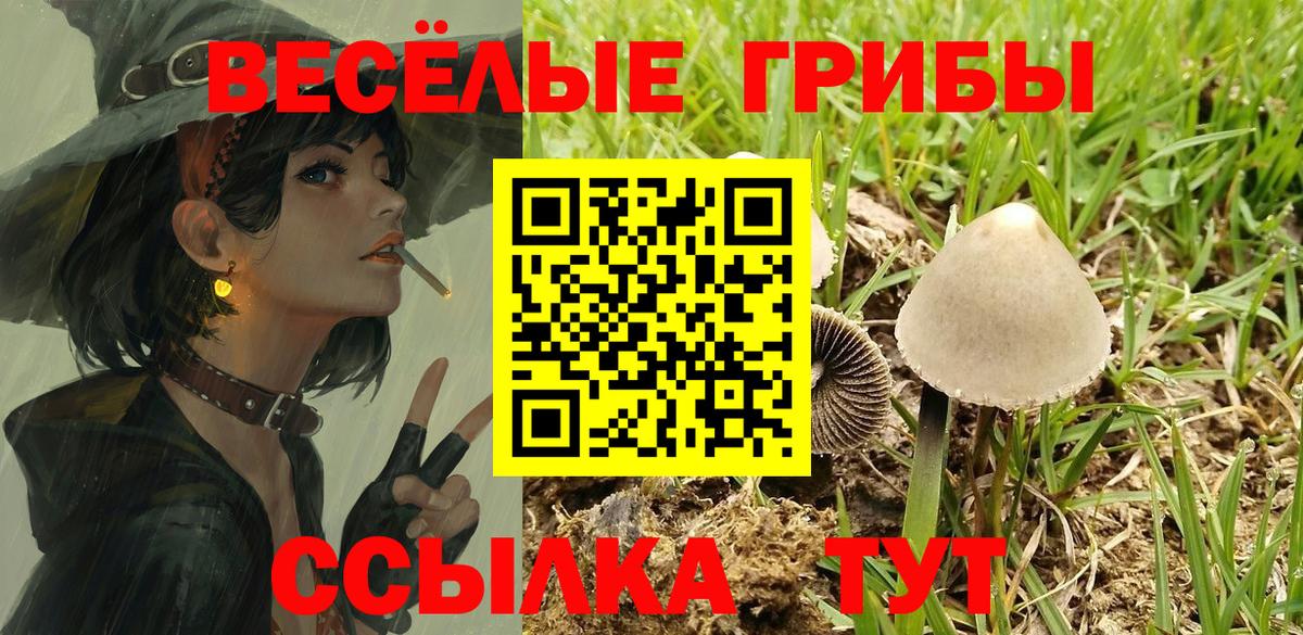 Псилоцибиновые грибы мицелий  Вход с VPN  Белогорск 